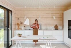 Mysoda Woody Hiilihapotuslaite, Harmaa 11 Mysoda Woody Hiilihapotuslaite, Harmaa -Stelton Myynti 015 Mysoda Woody hires 1