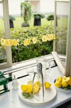 HAY Leikkuulauta, Pyöreä, L, Luonnonvalkoinen 11 HAY Leikkuulauta, Pyöreä, L, Luonnonvalkoinen -Stelton Myynti 0723P FDS kesa 2023 0586