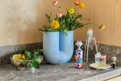 Alessi Hedelmäkori 826, Matala -Stelton Myynti FDS ruoka Alessi1 1