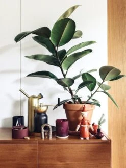 Stelton Collar Kahvimylly, Musta - Messinki -Stelton Myynti Fds joulu1718 media