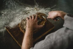 Fiskars Norden Leipäveitsi -Stelton Myynti Fiskars Action Norden Bread knife slicing bread 1026421