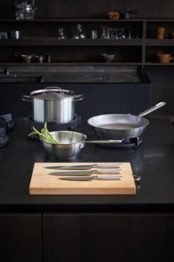 Fiskars All Steel Paistinpannu, 26 Cm -Stelton Myynti Fiskars All Steel group Environment 02 2