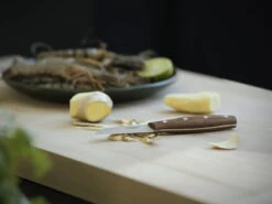 Fiskars Norr Juuresveitsi -Stelton Myynti Fiskars Kitchen Environmental Norr Peeling knife ginger 1016475 28129