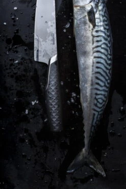 Fiskars Titanium Kokkiveitsi 16 Cm -Stelton Myynti Fiskars Titanium Cooks knife 16cm 1027296 28329