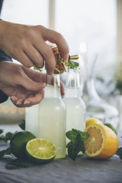 Klong Finn Pullonavaaja/ Koukku -Stelton Myynti finn lemonad ppnas milj gina mannberg noresize